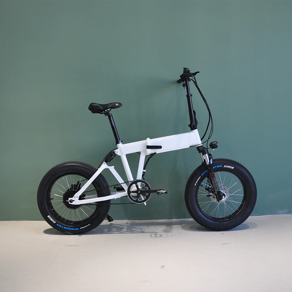 Wheel Folding Electric Bike 26 Inch 