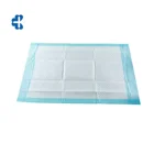 China Disposable Nonwoven Underpad 60x90cm With Good Absobency For Home Care And Hosiptal Use