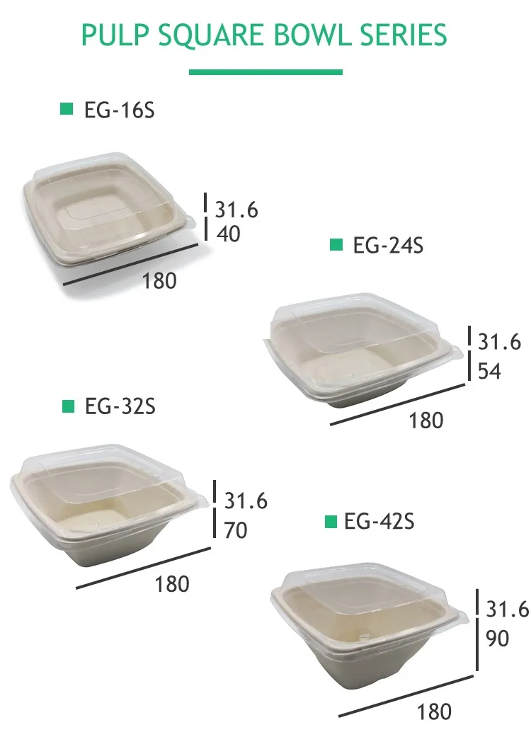 Square Plastic Disposable 6 Inch Food Packaging Container For take out