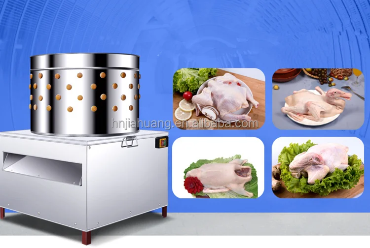 chicken removal (9).png