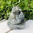 Labradorite Labradorite Wholesale Hight Quality Natural Labradorite Toothless Decorations