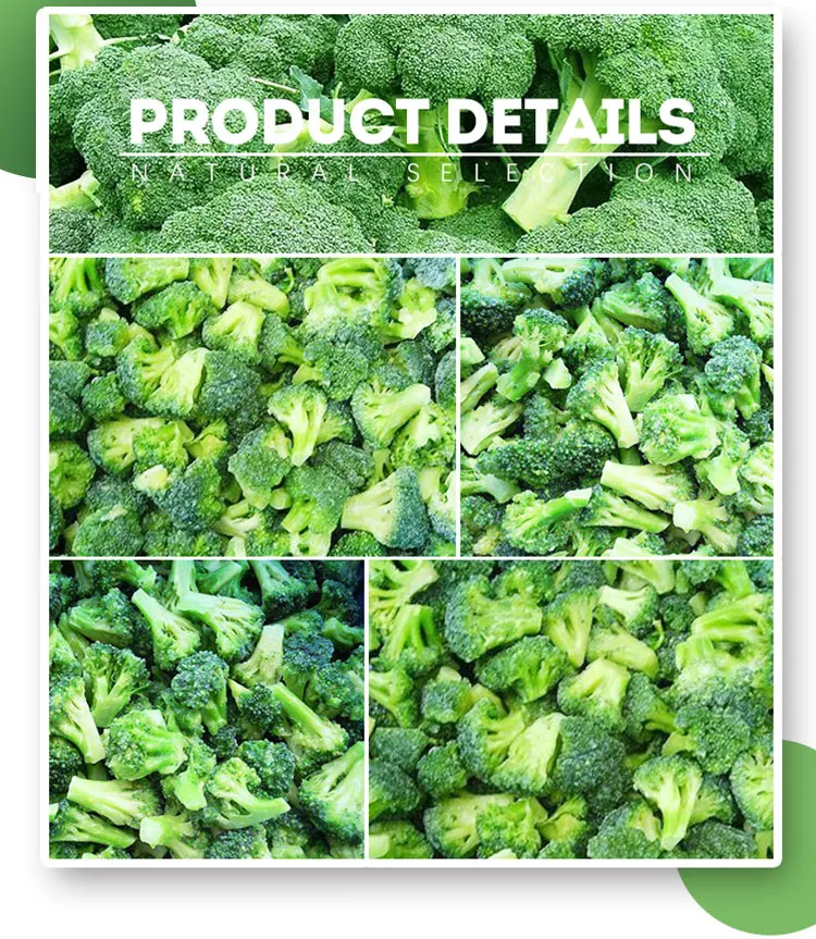 Frozen Broccoli IQF Broccoli details