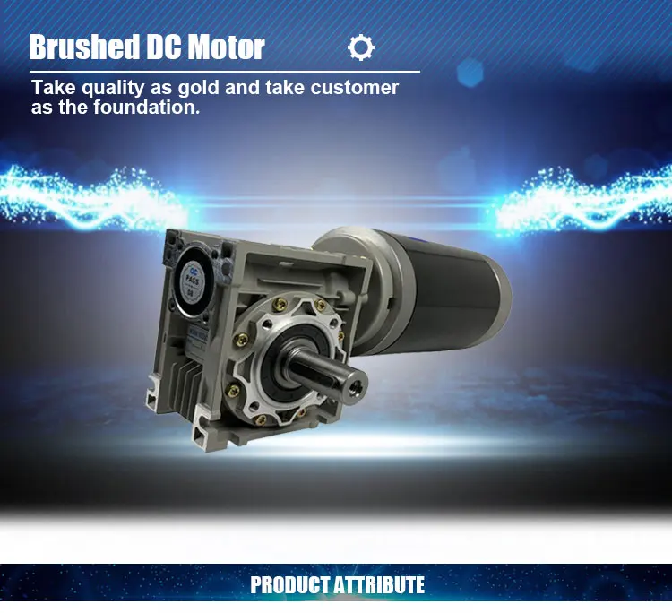 Gear Motor, DC12V/24V, 120W, NMRV - detail 2