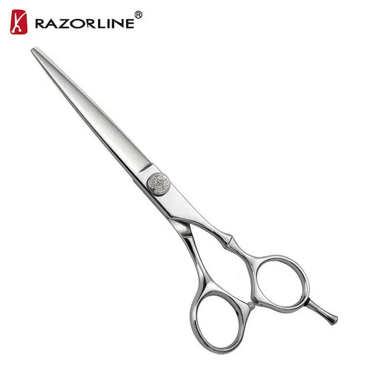 salon hair cutting scissors