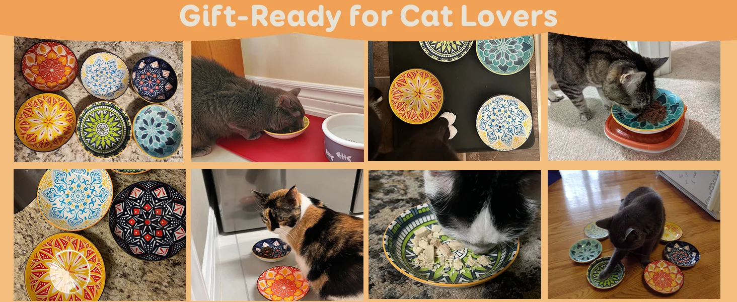Colorful Cat Bowl