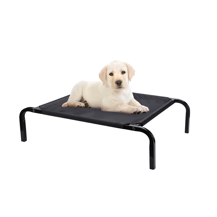 Are Elevated Dog Beds Comfortable