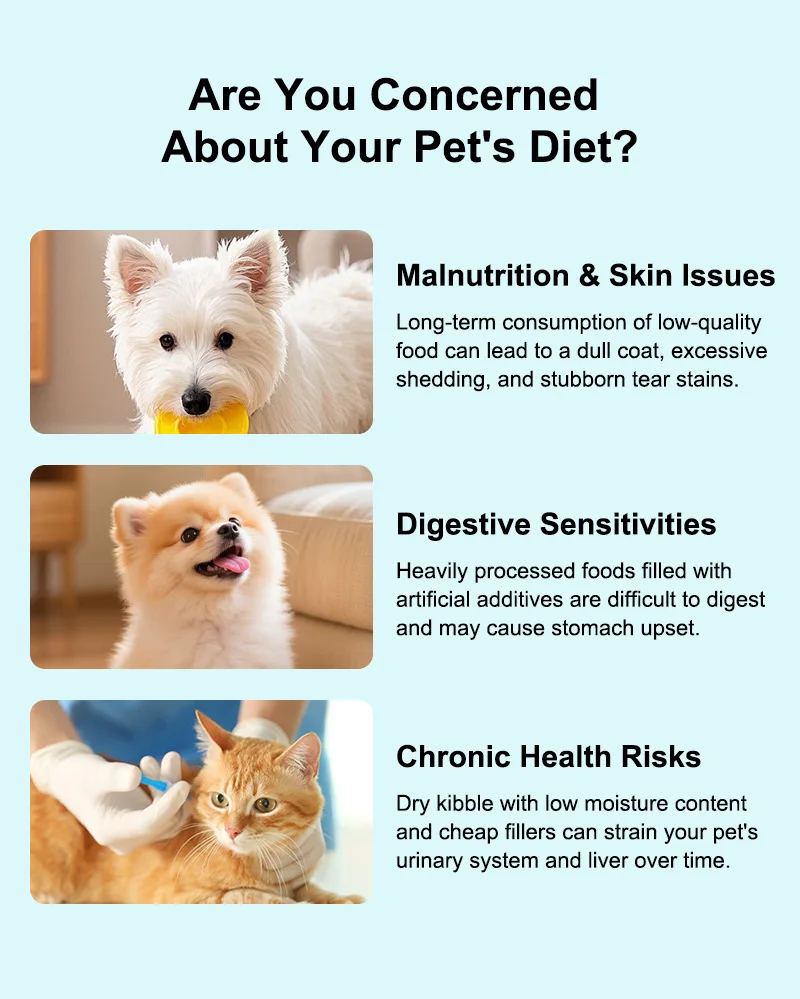 Hot Multifunctional Pet Steaming Machine Integrated Food Processor Homemade Fresh Meal Maker for Dogs Cats Pet Products factory