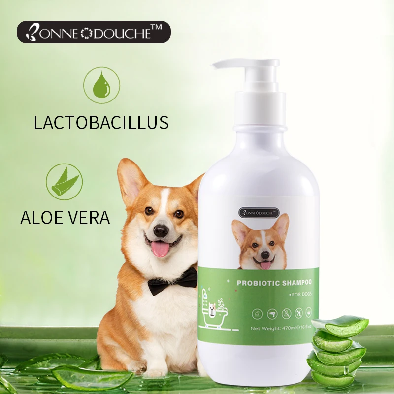 2022 Private Label Probiotic Pet Grooming Products Anti-hair Loss Moisten Dog  Shampoo - Buy Dog Shampoo Brands,Probiotic Pet Grooming Products,Pet  Grooming Product on 