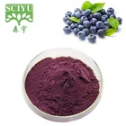 Blueberry Boost Immunity 100% Pure Natural Blueberry Fruit Extract With Multi Vitamin C