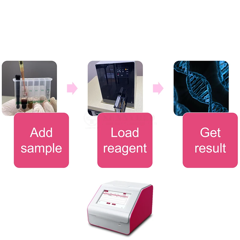 荧光定量扩增分析仪genvet vn8兽医pcr分析仪