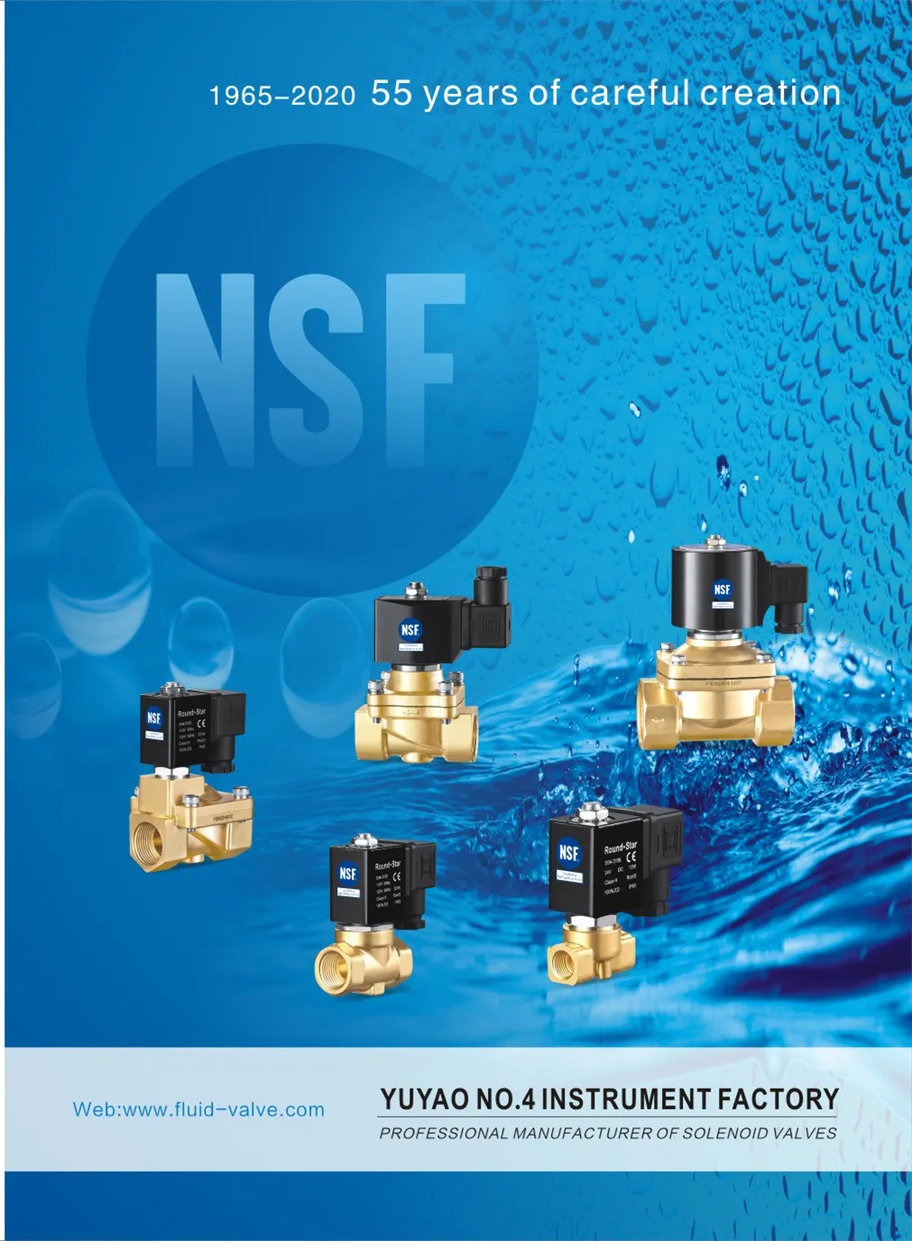 YSE-200 1inch High Pressure Solenoid Valve with 160bar Max Pressure and 3 Years Warranty