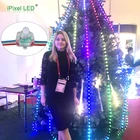 Pixel Led Addressable 2811 Addressable Square Pixel Led String Light 12mm Rgb Pixel Led Lights Flat Light 5v