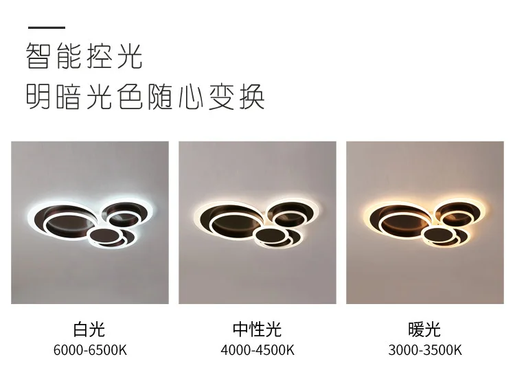 Modern Decoration Warm White Iron Acrylic Home Bedroom Living Room Simple Led Ceiling Light