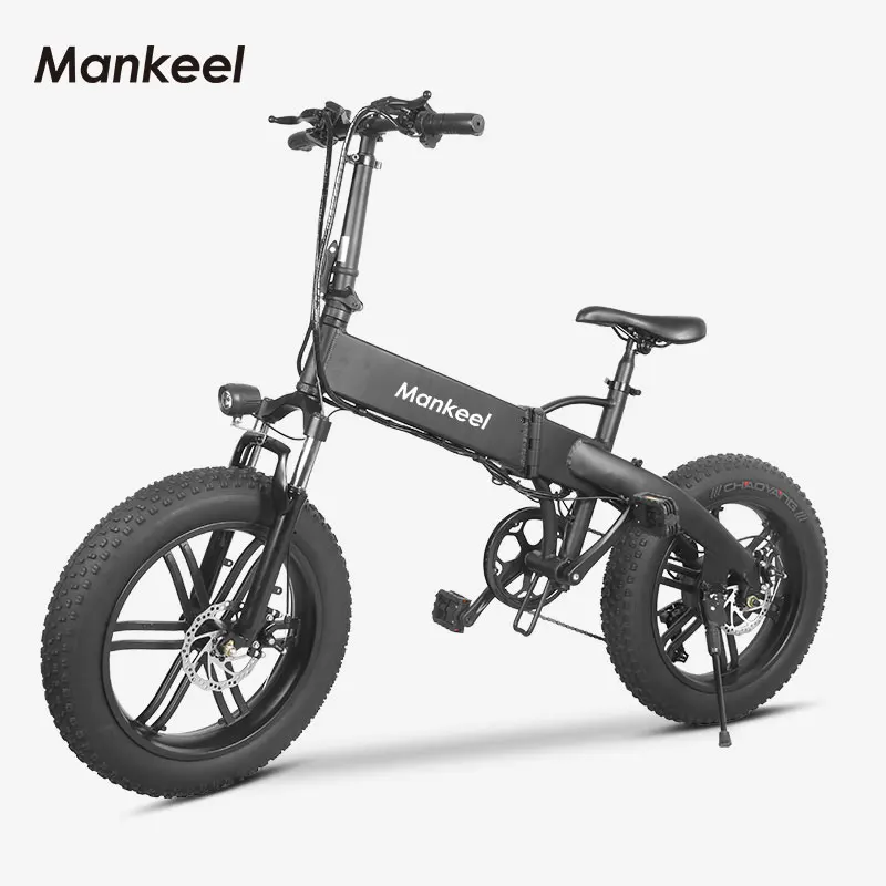 the fat e bike