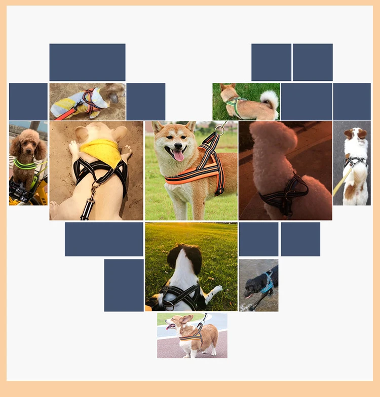 Soft Vest Neck Chest Adjustable Reflective Light weight Harness Anti-Twist Pet Lead Combo Dog Collar Leash And Harness Set