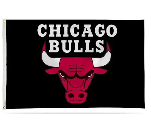 chicago bulls custom logo