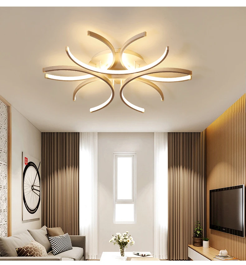 Home Decorative LED Ceiling Light Modern Living Room Bedroom LED Indoor Lighting