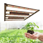 Good Uv Lamp 800W Good Quality Cob Grow Led 660 Nm Led Uv Grow Light Growing Lamp For Indoor Plants