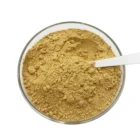 Best Price Korean Ginseng Root Extract Ginsenoside 5%-80%