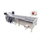 Fruit Vegetable Processing Stainless Steel Apple/pear/mango/fruit/vegetable Cabbage Washing/cleaning/processing Machine