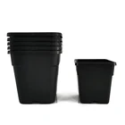 Black Pot Gallon Pot Wholesale Hot Selling PP Black 1 Gallon Square Nursery Seedling Pot