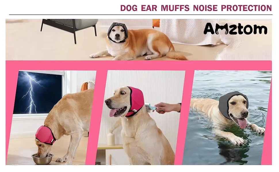 Scenarios for using dog head cover