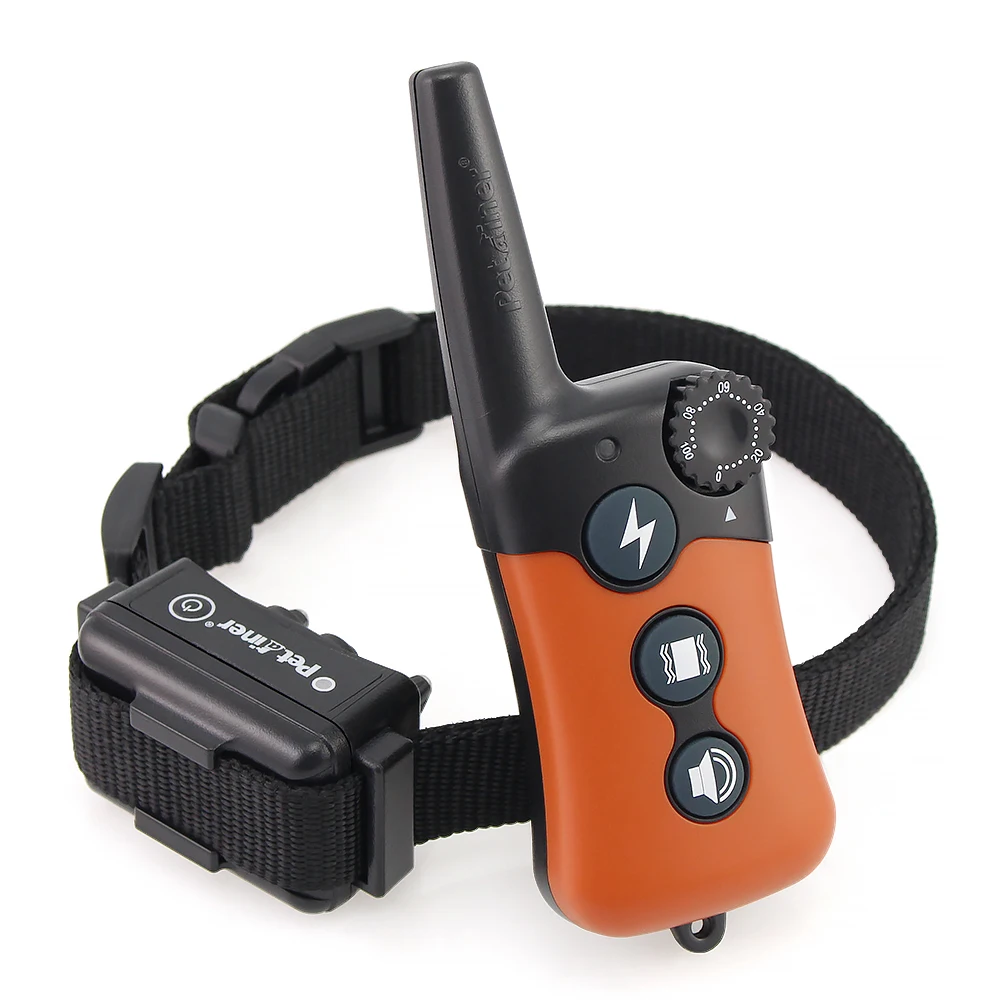 shock collar price