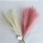 Cm Wedding 2021 Amazon Hot 45 Cm Short 10 Forks Wedding Decor Faux Pampas Grass