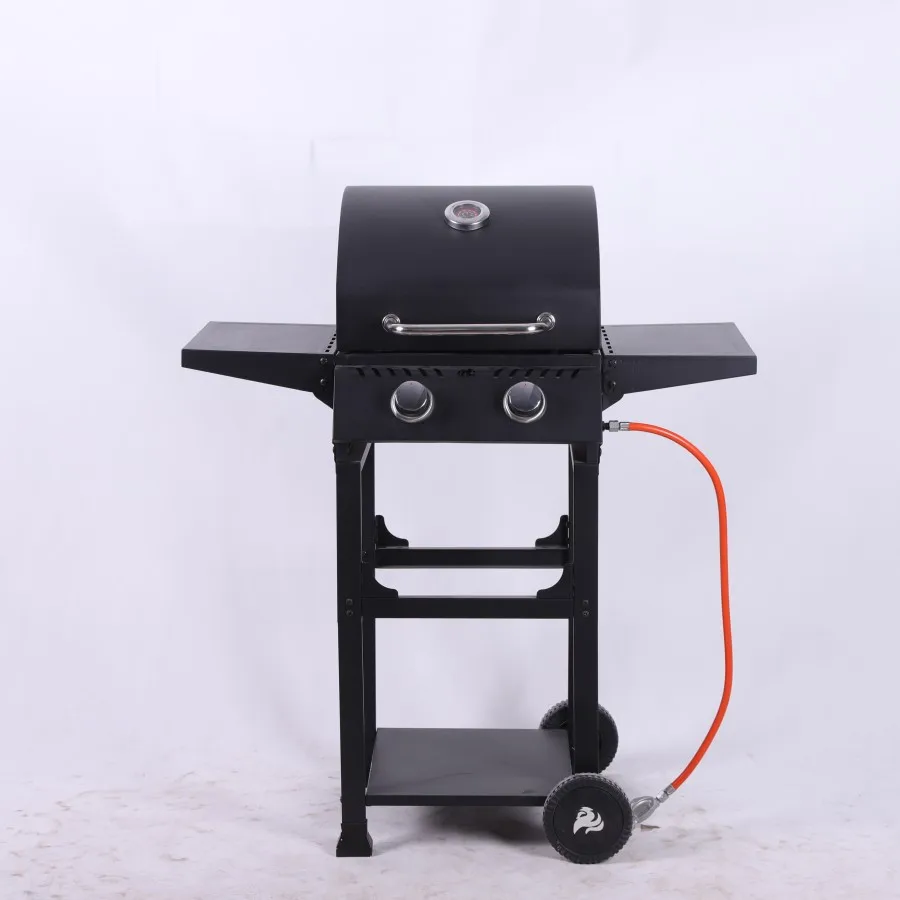 2 Burner Outdoor BBQ Propane Gas Grill Steel Gas Grills Barbecue for Patio Garden factory