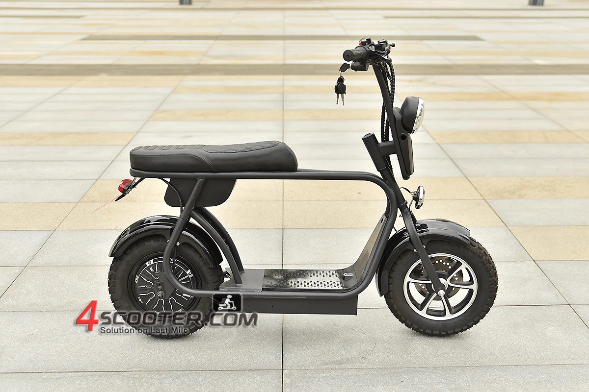 electric scooter 1000w