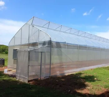 Low price Tropical Hydroponic Growing Greenhouses Tomato Sawtooth Greenhouse