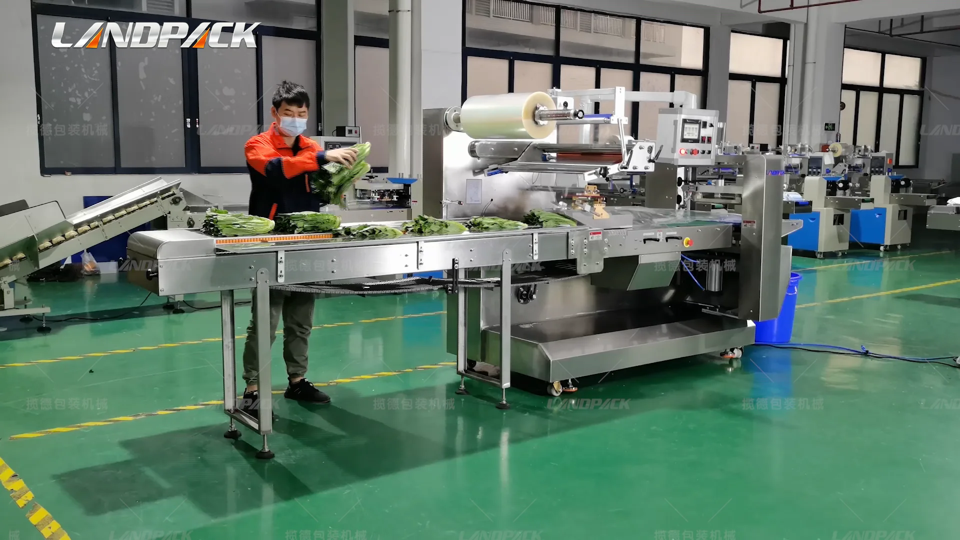 Landpack Lp 700b Fresh Frozen Vegetables Fruit And Vegetable Packaging