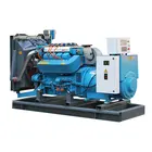40kw Generator 40KW Natural Gas Generator/LPG/ Biogas/Propane Generator Full Copper Motor With Egg Cotton Mute Box