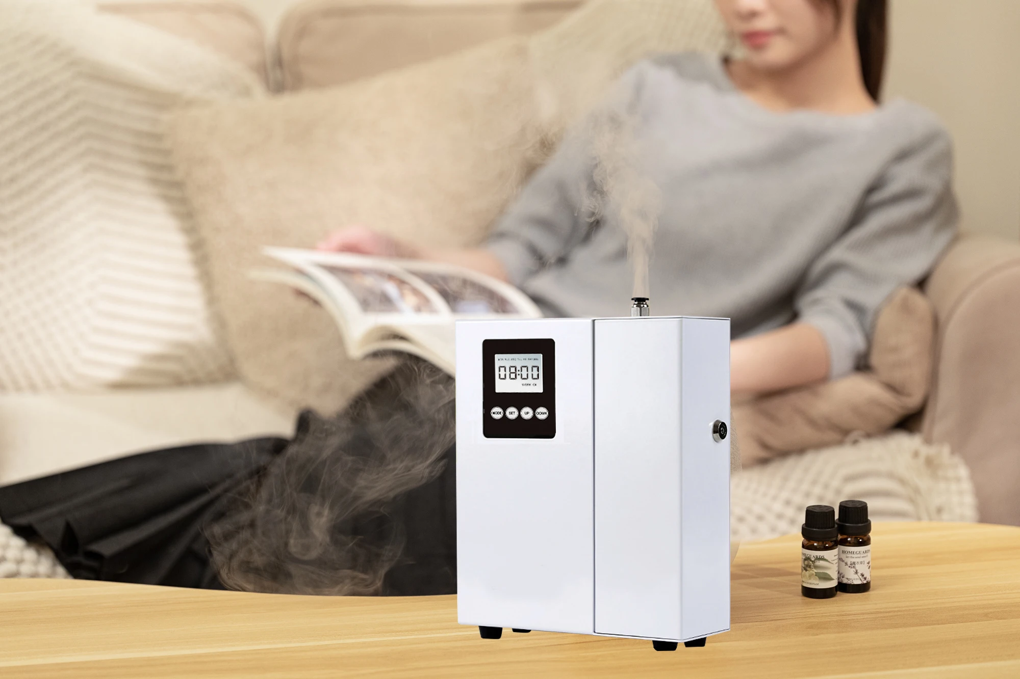 800ml Capacity 12V Silent Operation Essential Oil Diffuser for Commercial Use with Bluetooth WIFI APP Control