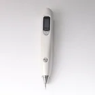 Usb Pen Laser 2021 Best Seller USB Charging Tattoo Pen Wrinkles Wart Spots Mole Removal Beauty Pen Laser Plasma Pen
