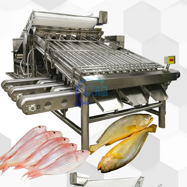 Industrial Sus Fish Grading Machine Multiscene Seafood Sorting Machine