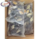 Shellfish Factory Selling Frozen Cooking Best High Quality Half Shell Mussels