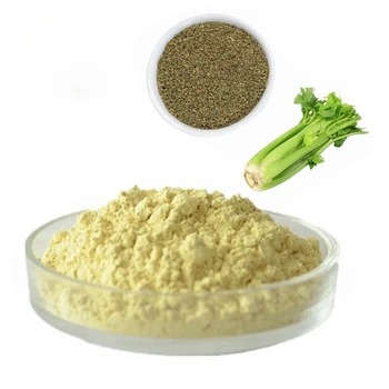 High Quality Pure 98% Apigenin Extract Powder Celery Seed Extract