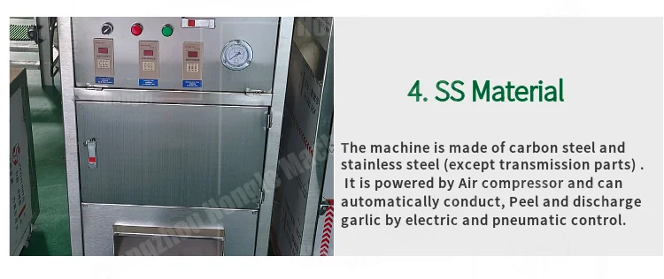 1000 Kg/H Smart Newest Design Garlic Peeler Machine Full-Automatic Commercial Garlic and Ginger Peeling Machine Price factory