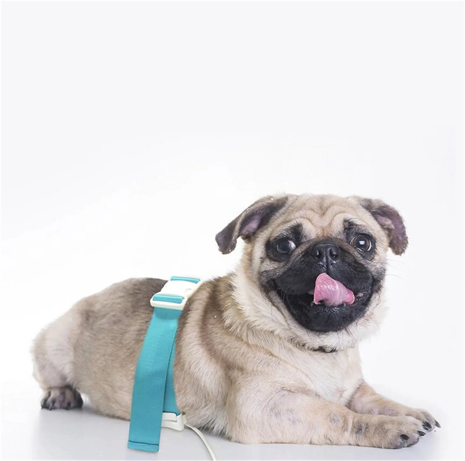 JYTOP Pets Health Biochemical Analysis With Software New PET Scanner Quantum Animal Tester for DOG and CAT