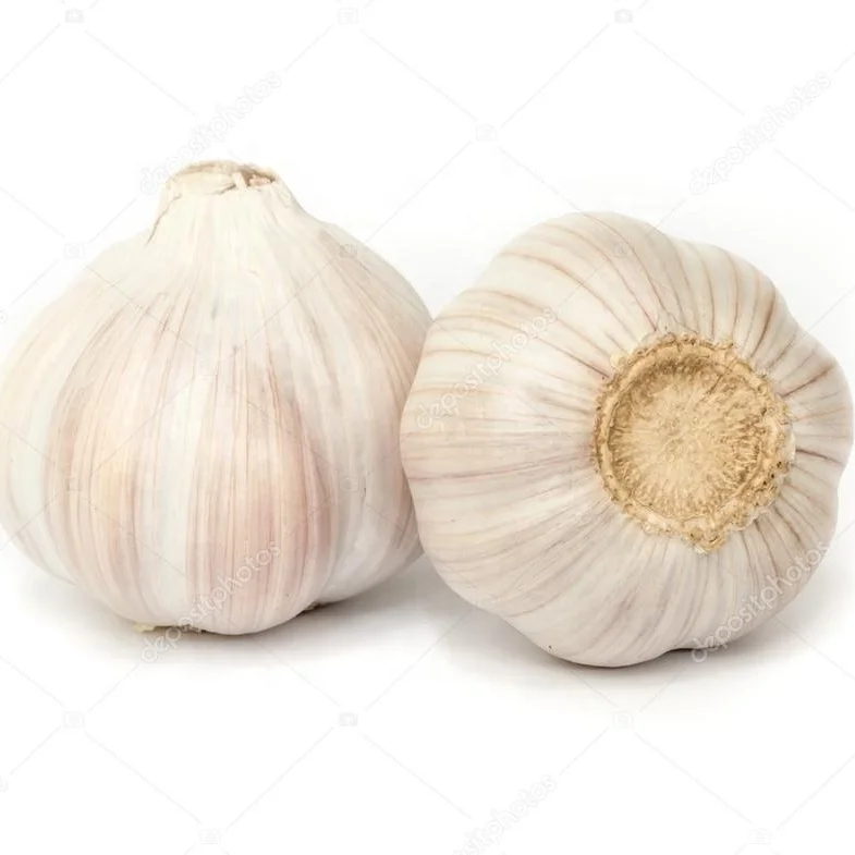 Garlic From Factory Dry Garlic One Kg In Germany Buy Fresh Garlic 2019 Garlic From Factory Dry Garlic One Kg In Germany Salted Garlic Cloves 300 Kg Mesh Net Bags Garlic For Packing Product On