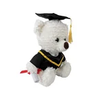 Plush Graduation Plush Plush Graduated Teddy Bear Graduated Plush Bear Plush Graduation Bear