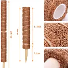 Size Plant Variety Size Available Plant Totem Pole With Twist Ties And Bamboo Plant Ties