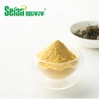Green Tea New Product Healthy And Natural Green Tea Face Powder For Food Processing