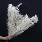 Wedding Decoration Wedding Wholesale Home And Wedding Decoration Preserved Ruscus