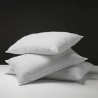 Waterproof Hotel Pillow Cotton Luxury Hotel Home Textile White Bedding Sets Bed Sheet