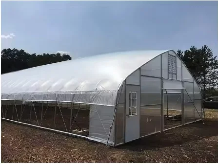 Eco-Friendly Single Layer Agricultural Plastic Film Greenhouse for Vegetable Tunnel China Product details