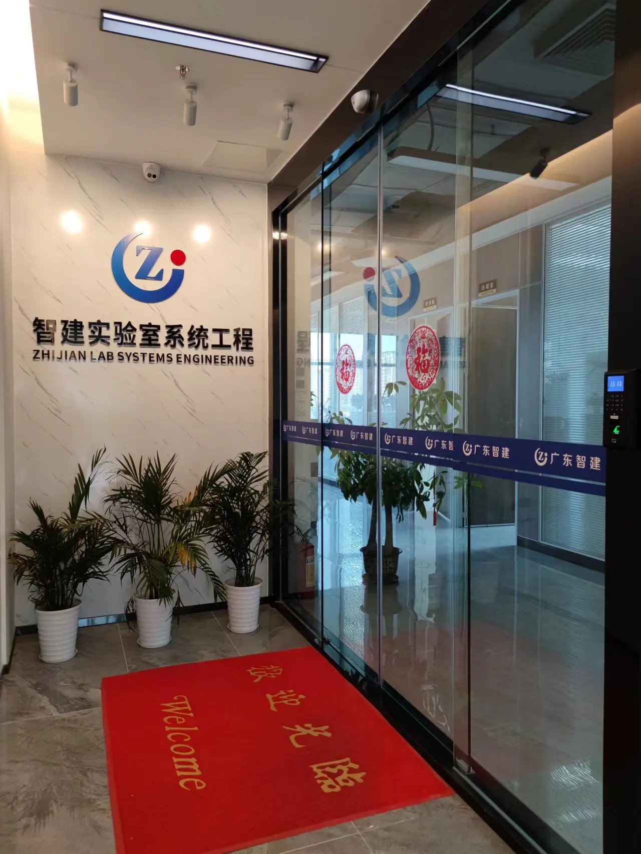 All Steel Lab Fume Hood 1200*850*2350 mm with Customizable Color for Chemistry and Physics Labs