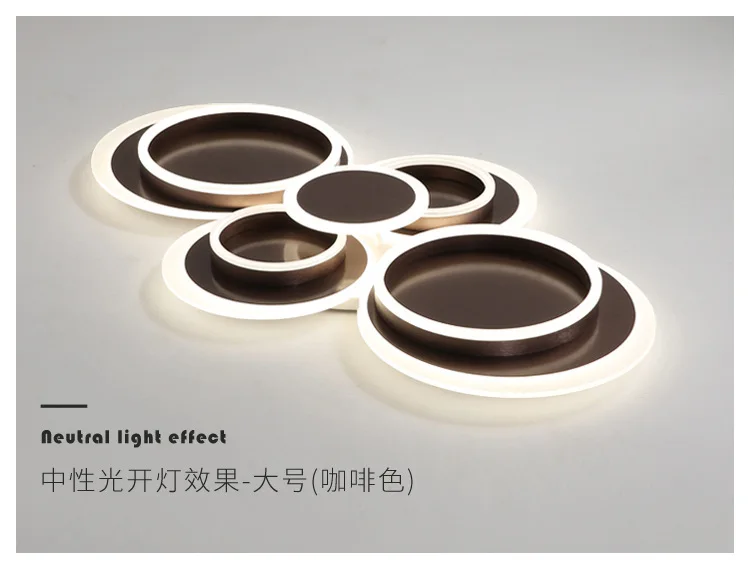 Modern Decoration Warm White Iron Acrylic Home Bedroom Living Room Simple Led Ceiling Light