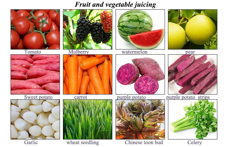 Industrial Hydraulic Fruit Vegetable Filter Press Juice Extractor Grape Squeezing Pressing Juice Making Machine Dehydrator supplier
